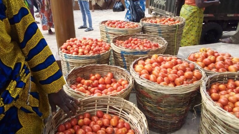 Togo/EPAM : le marché de produits maraîchers de Bè-klikame est désormais opérationnel