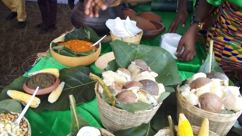 Togo/ La fête traditionnelle Adzinukuza célébrée à Vogan
