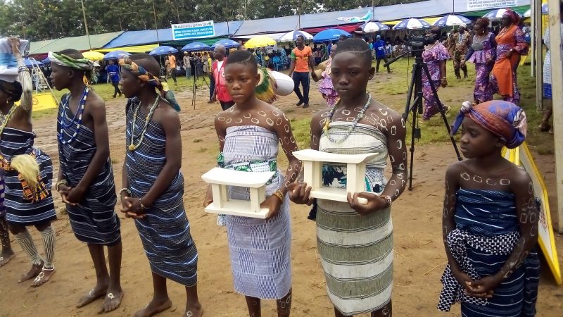Tradition: la fête Agbogboza célébrée pour la 67 ème fois à Notsè